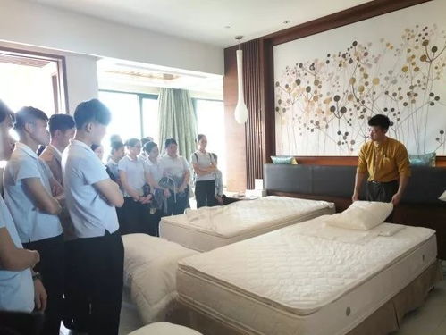 从课堂到客房 城职学院酒店管理专业实习生特训营纪实